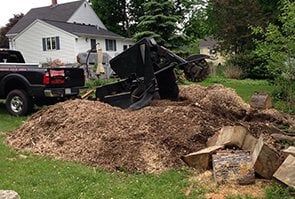 Stump Grinder — Tree Stump Grinding in Lunenburg, MA Stump Grinding Process — Tree Stump Grinding in Lunenburg, MA