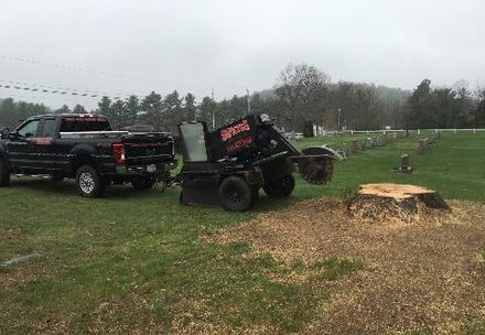 stump grinding in graveyard — Tree Stump Grinding in Lunenburg, MA stump grinding in graveyard — Tree Stump Grinding in Lunenburg, MA