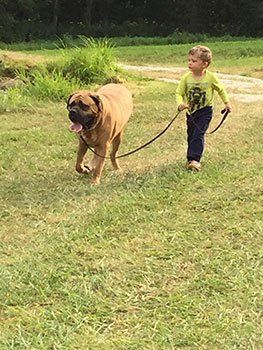 Winston