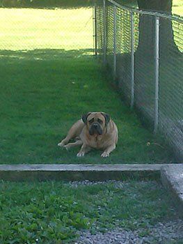 Winston