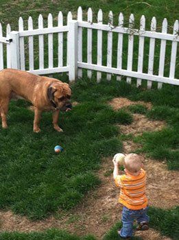 Playing with Winston