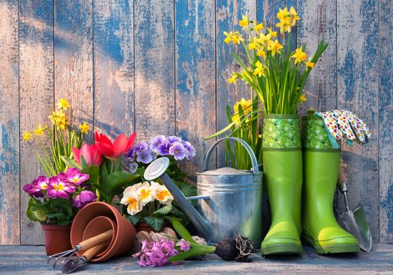 Strumenti per il giardinaggio