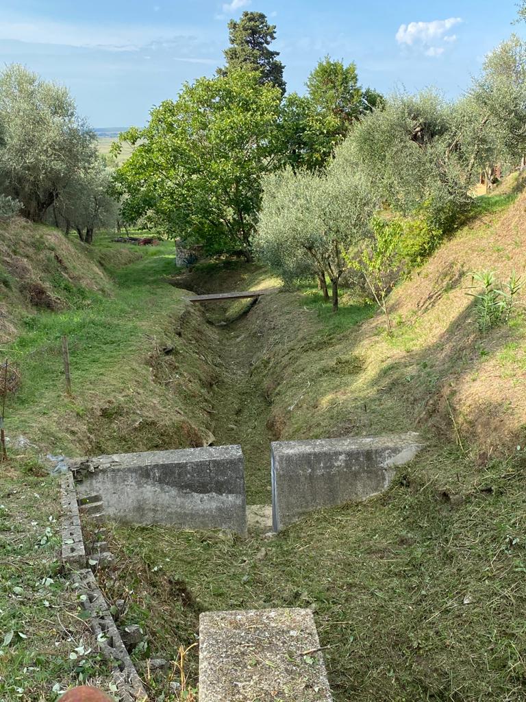 versilian3