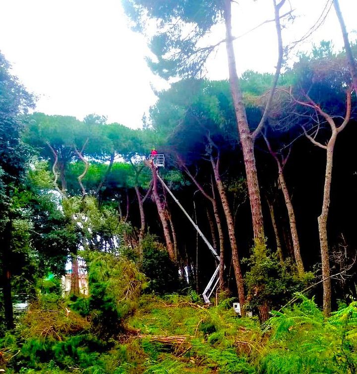 Manutenzione di un parco