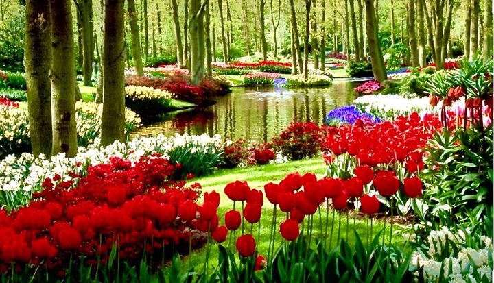 Giardino fiorito