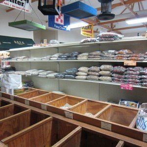 bird seed rack
