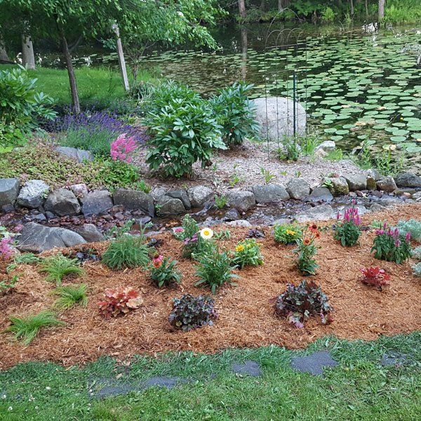 flower bed