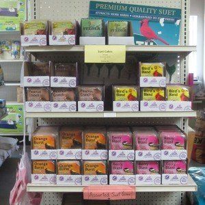 suet bird feeders
