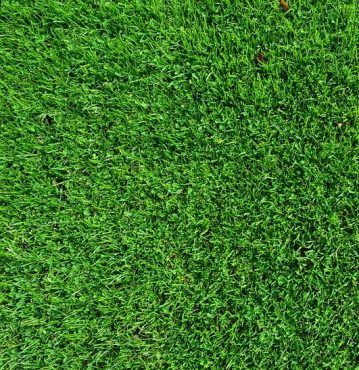 Turf