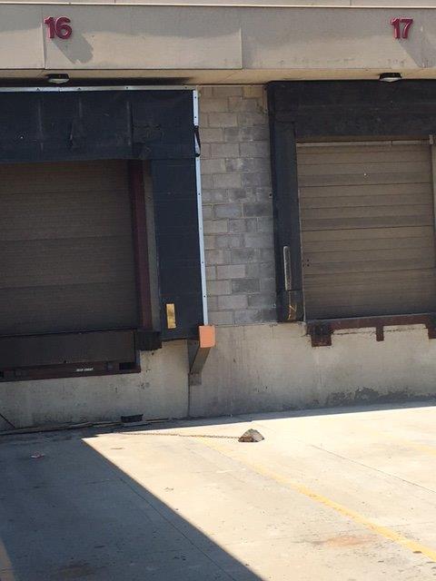masonry repairs on dock wall