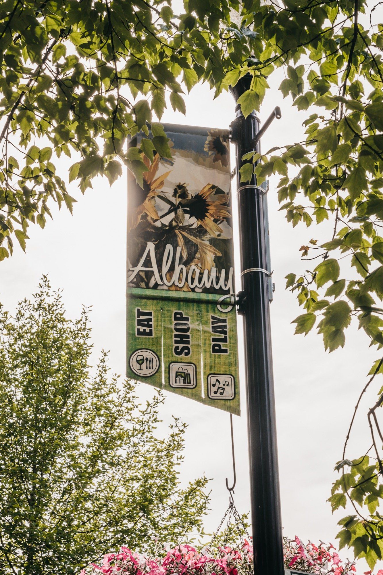 Albany, OR sign