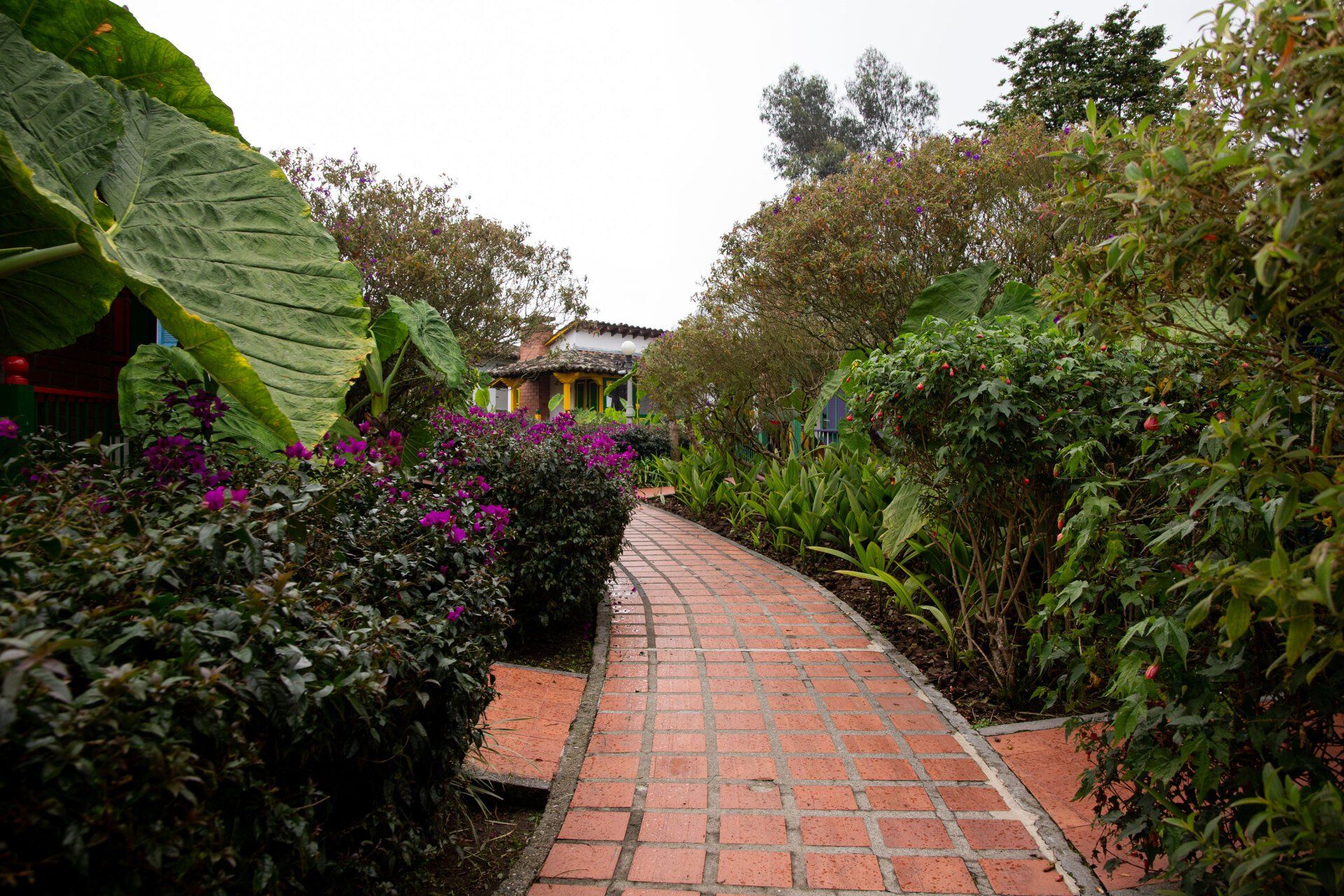 Paths at Termales El Otoño featuring brick walkways surrounded by gardens, flowers, and lush vegetation.