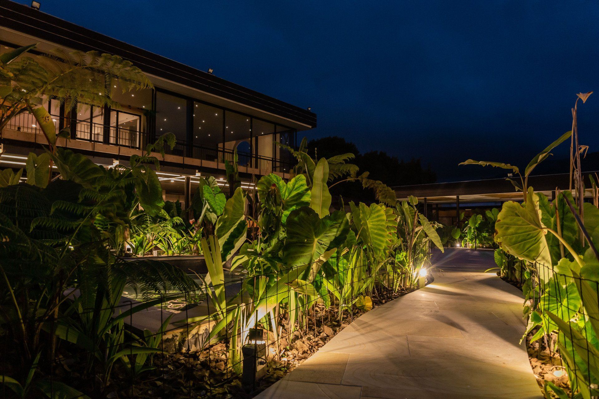 Night view of Termales El Otoño Hotel, with illuminated paths, tropical vegetation, and modern architecture in Colombia.