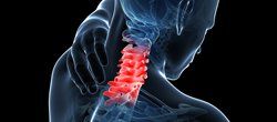 neck injury neck injury