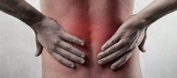 back pain back pain