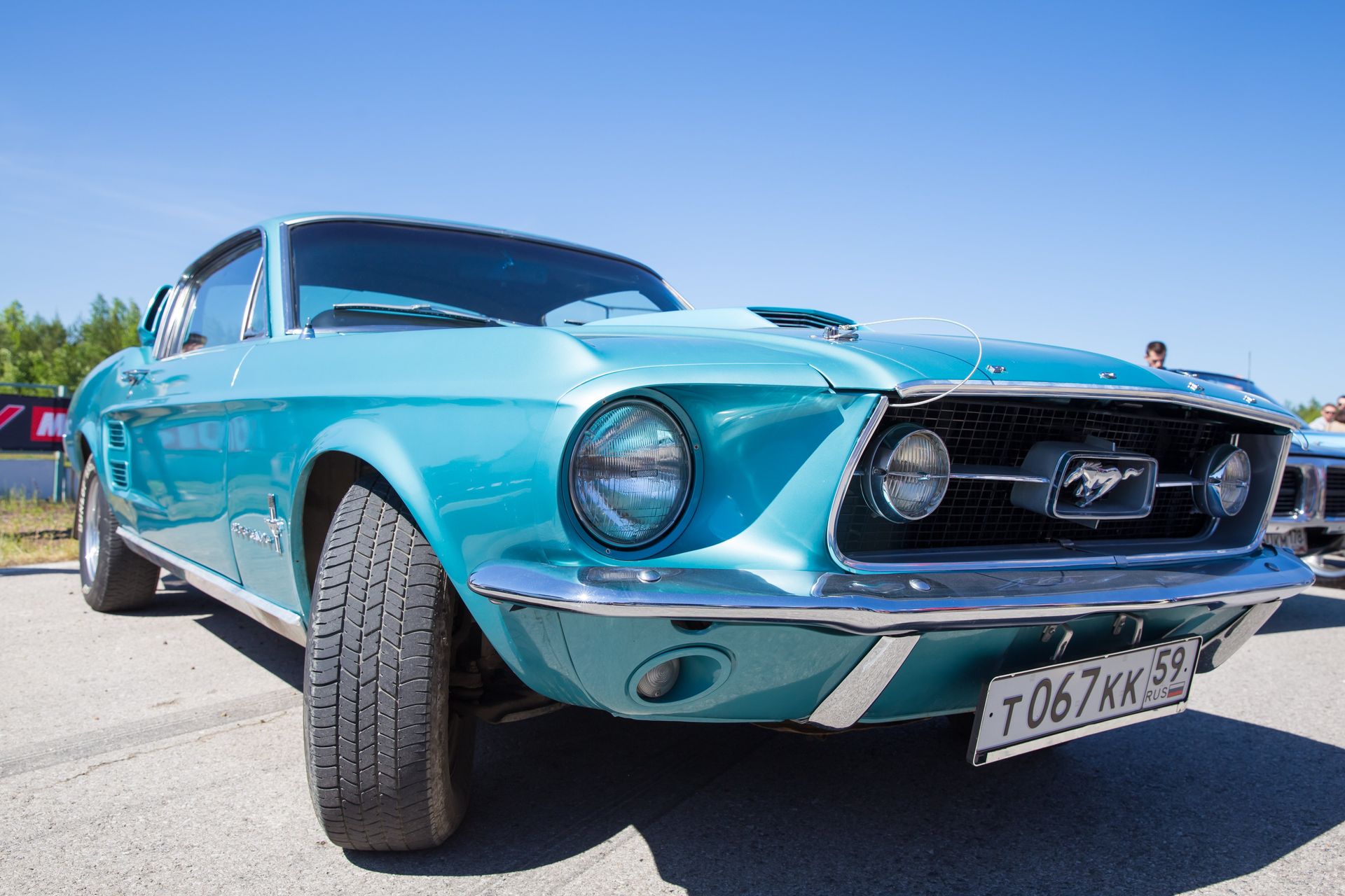 Collectible and Exotic Vehicles