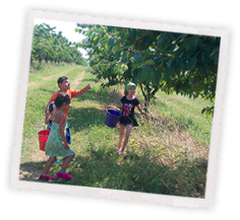 kids looking for a fresh harvest