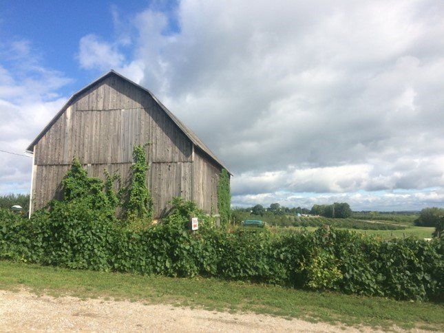 barn