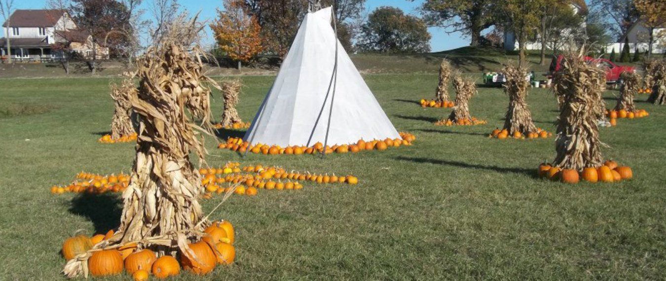 pumpkins
