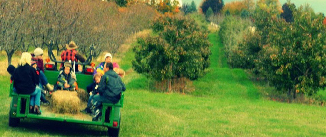 way to the orchard