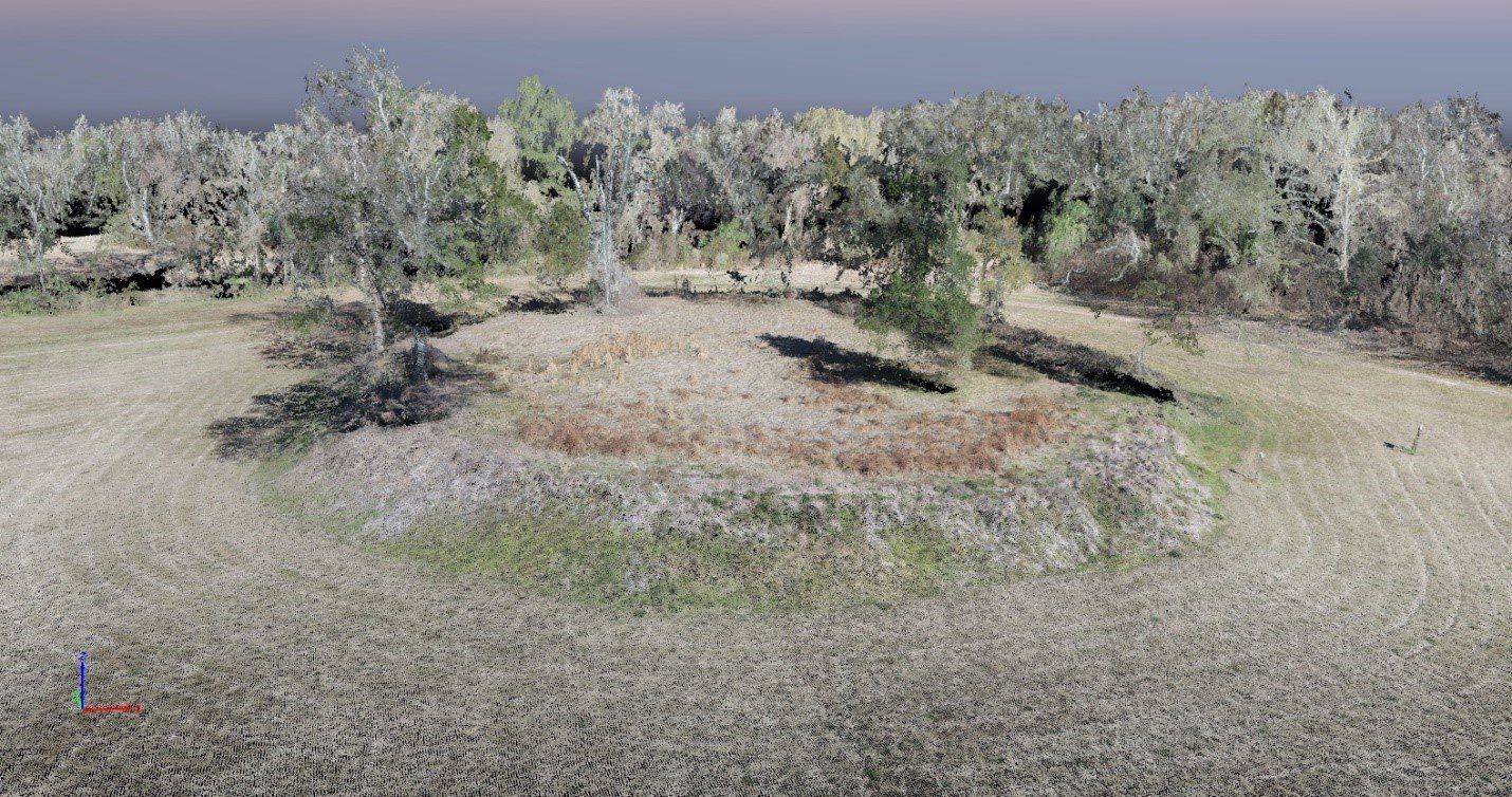 An aerial view of a grassy field with trees in the background - Baton Rouge, LA - Coastal Environments, Inc.