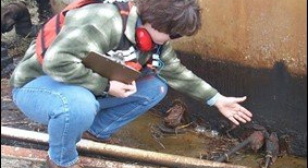 Environmental Regulatory Approvals - Baton Rouge, LA - Coastal Environments, Inc. Environmental Regulatory Approvals - Baton Rouge, LA - Coastal Environments, Inc.
