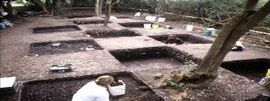 Cultural Resources - Baton Rouge, LA - Coastal Environments, Inc.