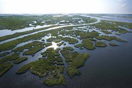Coastal Restoration - Baton Rouge, LA - Coastal Environments, Inc.