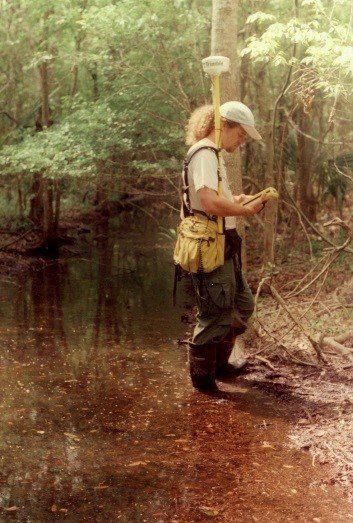 A man is standing in a puddle of water in the woods - Baton Rouge, LA - Coastal Environments, Inc.