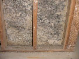 Asbestos