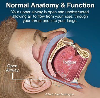 normal function