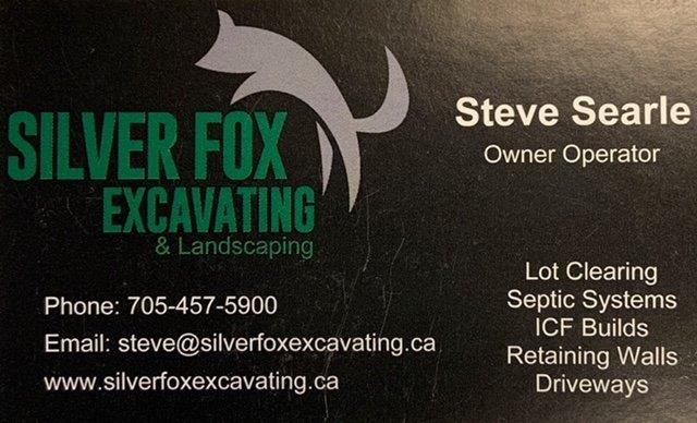 Silver+Fox