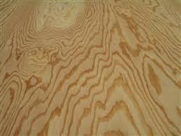 fir