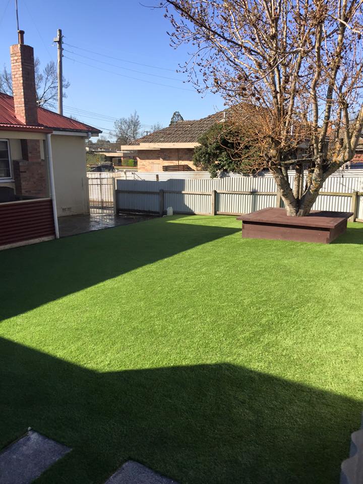 Synthetic Lawn
