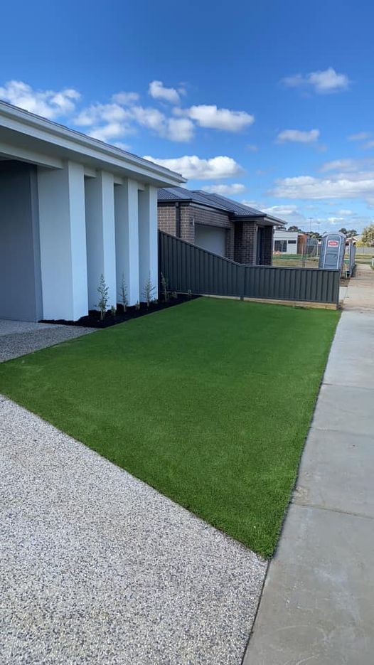 Synthetic Lawn