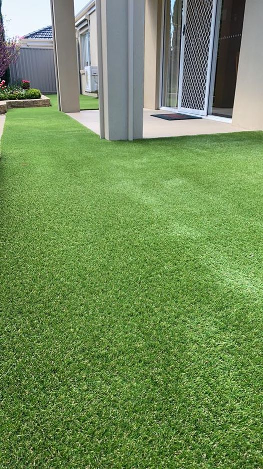 Synthetic Lawn