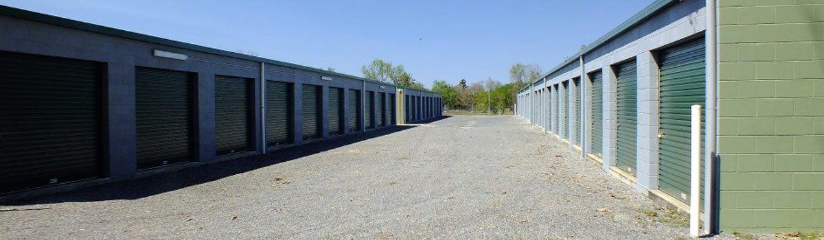 aardvark self storage green storage