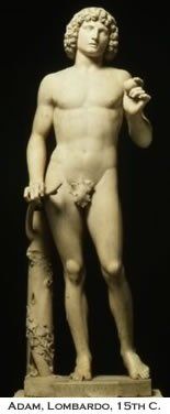 Gynecomastia Dr. Joel Rein