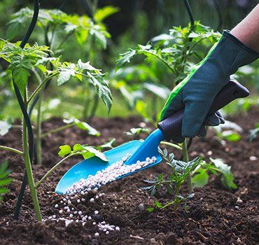Adding Fertilizer to Plants — Gaithersburg, MD — Myers & Law Tree Service Adding Fertilizer to Plants — Gaithersburg, MD — Myers & Law Tree Service