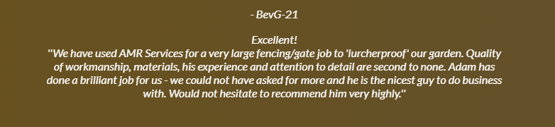 testimonial 8