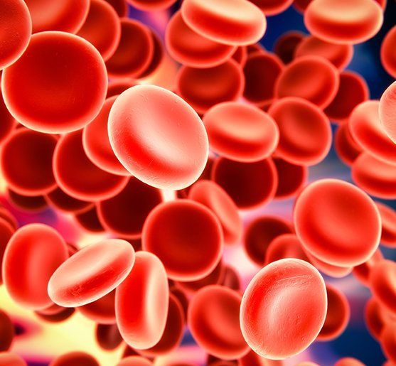 cells