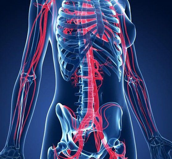skeleton