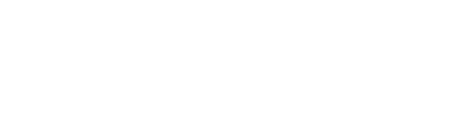 PAV plumbing & roofing logo