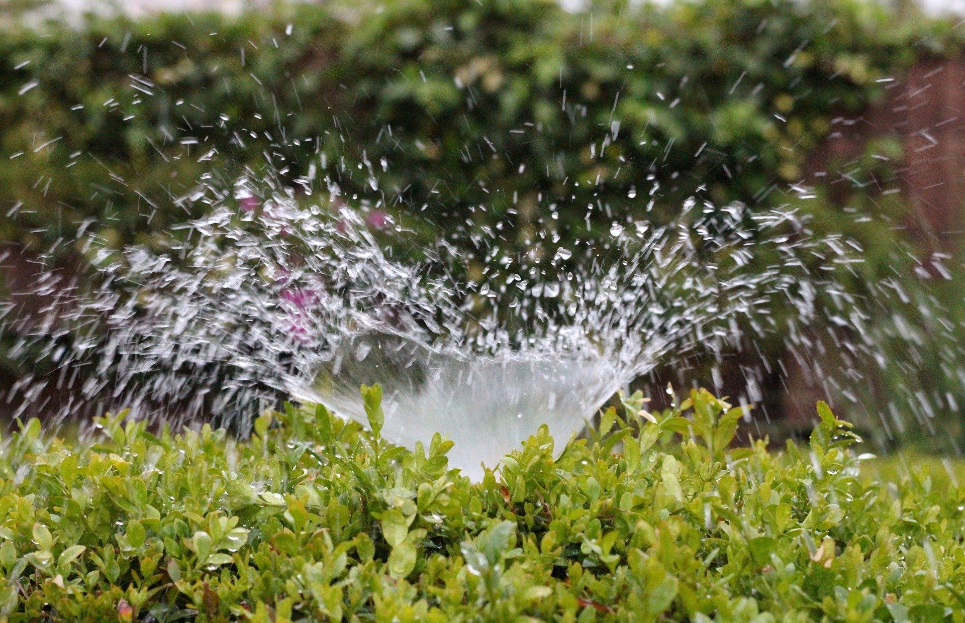 sprinkler system in yard