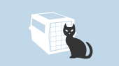 facilities icon