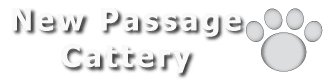 New Passage Company Logo