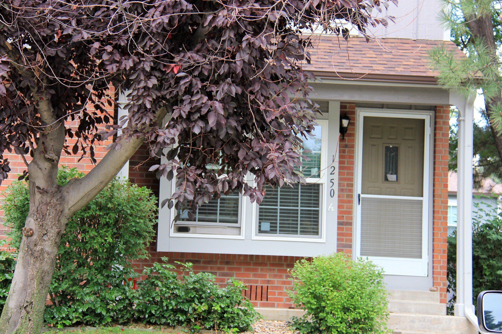 Newly install windows at the front of a residence.