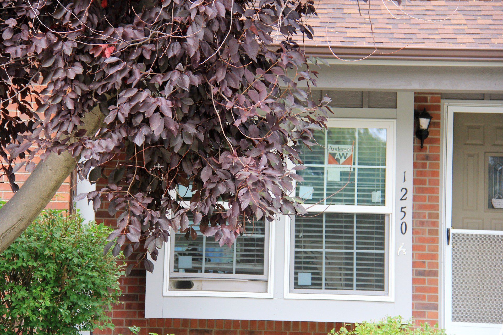 New Andersen windows have been installed.