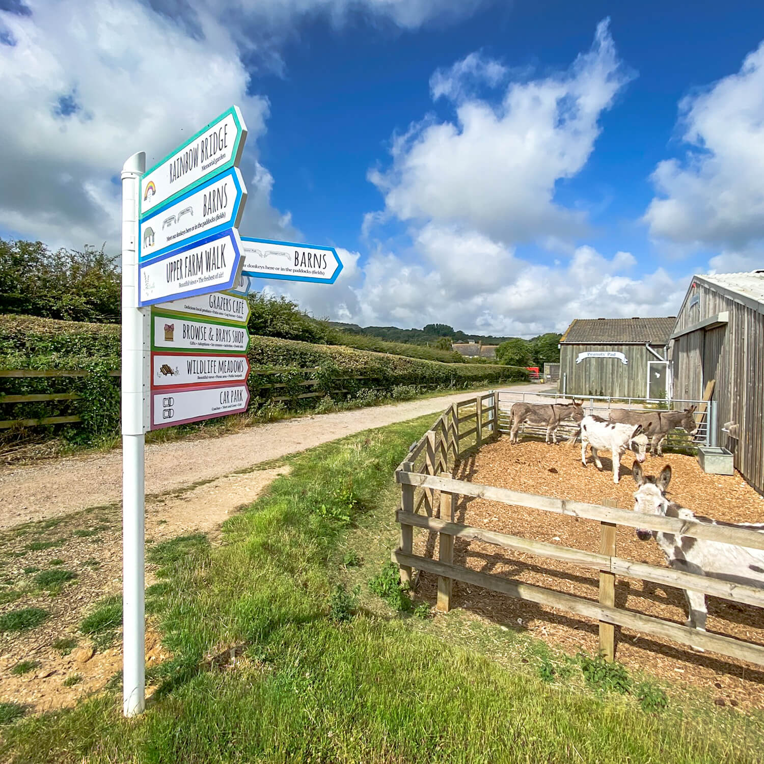 Way-finding and directional signage for the Isle of Wight Donkey Sanctuary, designed by MooksGoo