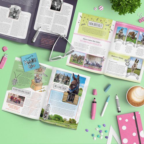Magazine design portfolio image by MooksGoo